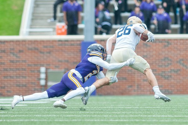 How Can Wildlife Conservation Efforts Improve the Lives of UK Pets?